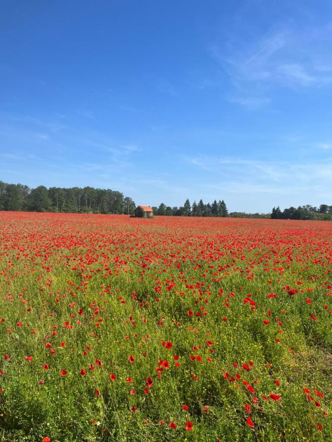 Oh ! Fleurs Des Champs Bed and Breakfast Chaumont-sur-Tharonne Εξωτερικό φωτογραφία